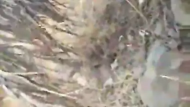 Village lover caught fucking outdoor